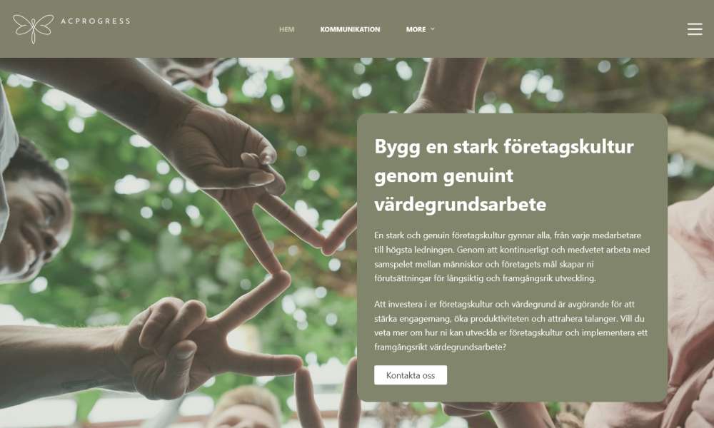 ACP Progress – hemsida via paket