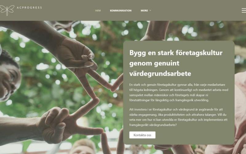 Acprogress.se