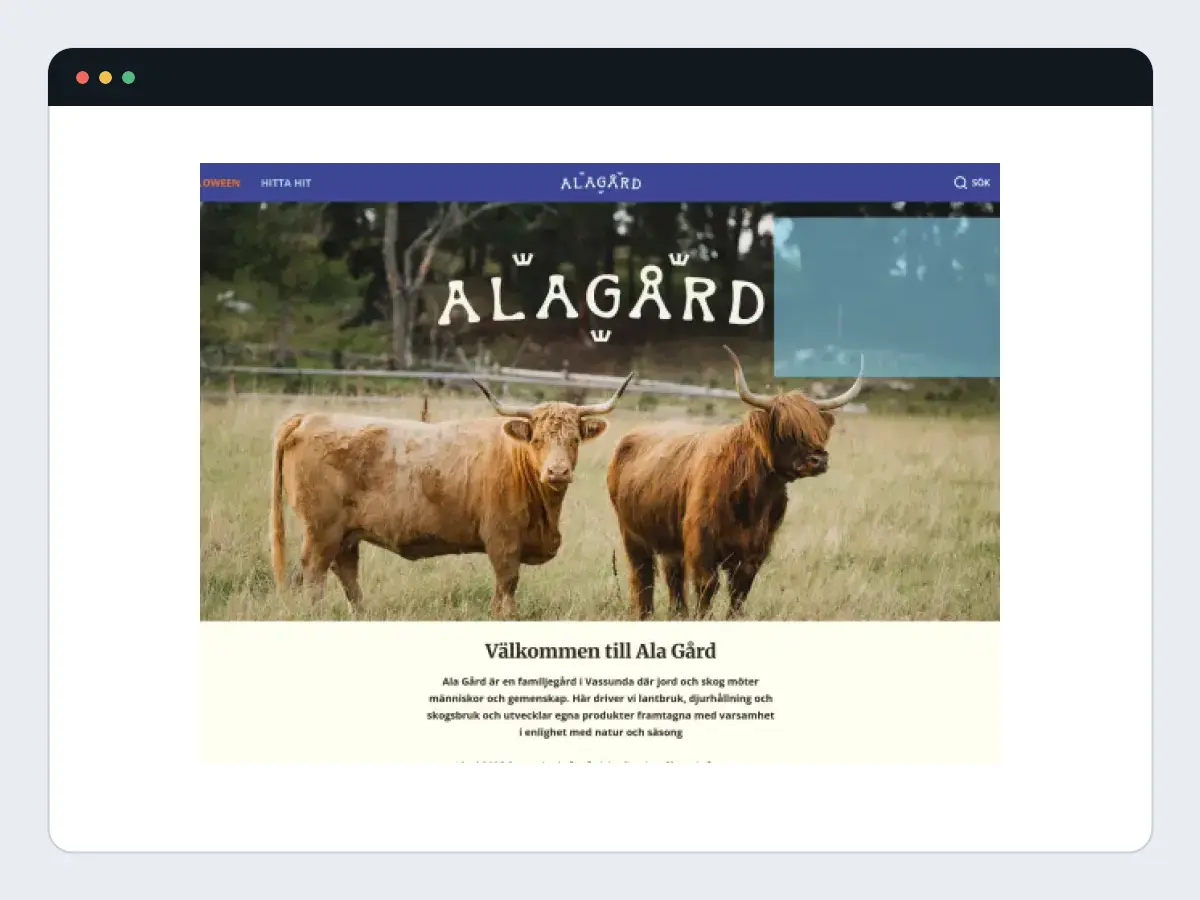WordPress hemsida utvecklad av Webbfabriken