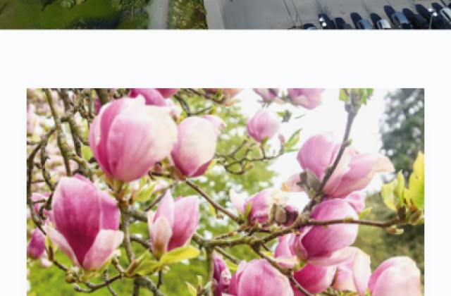 Lidingö Näringsliv i mobil