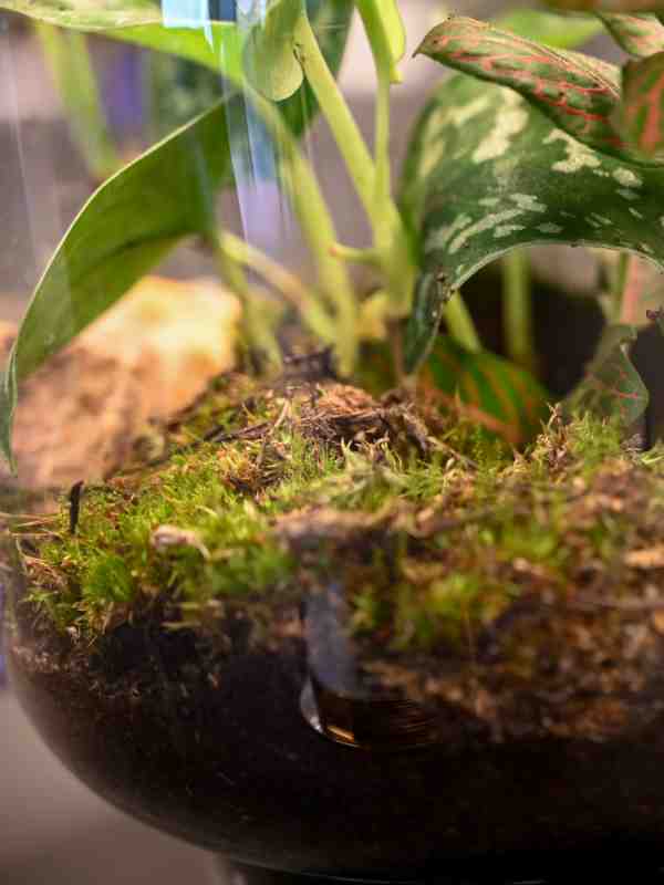 Hållbarhet och miljöansvar